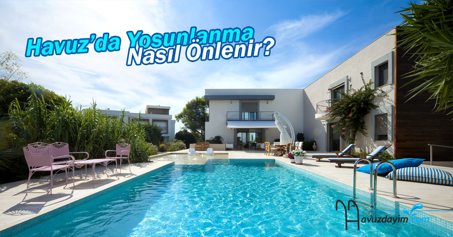 Havuzda Yosun Nasıl Önlenir?