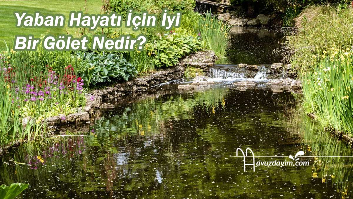 Yaban Hayatı İçin İyi Bir Gölet Nedir?