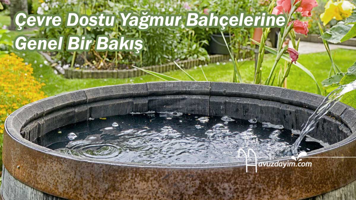 Çevre Dostu Yağmur Bahçelerine Genel Bir Bakış