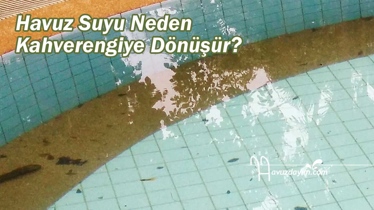 Havuz Suyu Neden Kahverengiye Dönüşür?