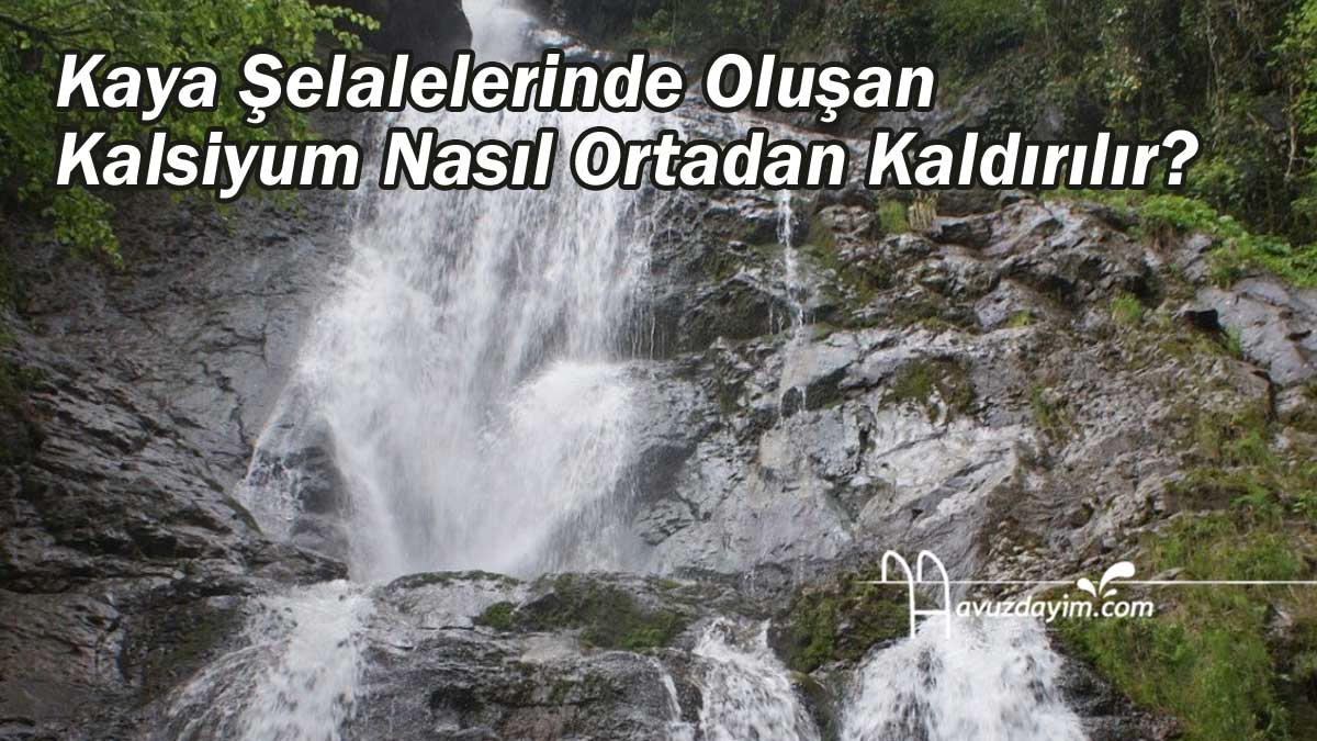 Kaya Şelalelerinde Oluşan Kalsiyum Nasıl Ortadan Kaldırılır?