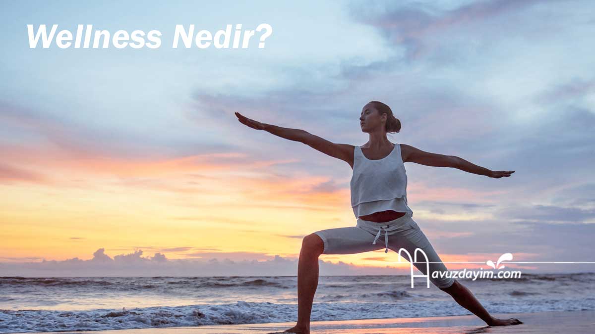 Wellness Nedir?