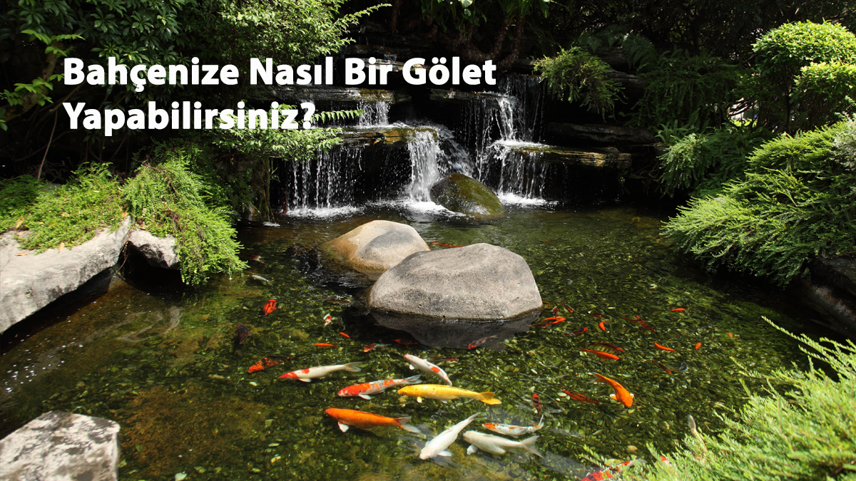 Bahçenize Nasıl Bir Gölet Yapabilirsiniz ?