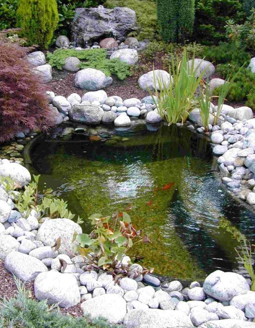 Poolline Lagoon Gölet ve Bahçe Doğal Süs Havuzu – Bahçenizde Doğanın Estetiği