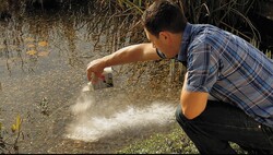 Süs Havuzu ve Gölet Kimyasalı, Ph Düzenleyici Oase Optipond 500ml - Thumbnail