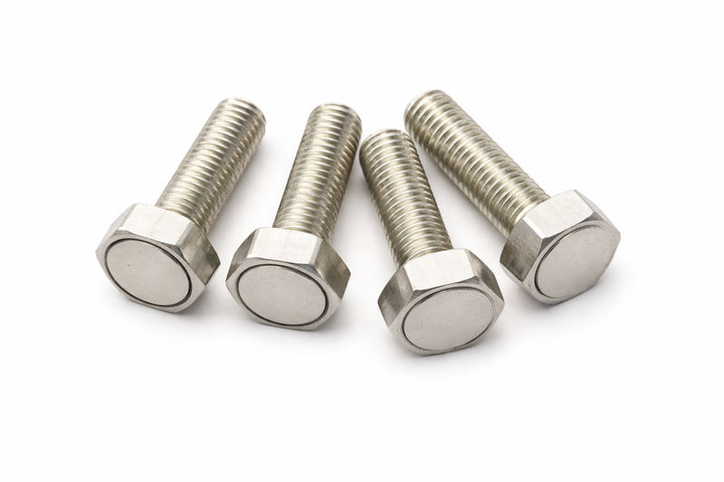 POOLLINE - Poolline Sauna Kapısı Nikel Magnet Manyetik Vida 14Mm 4 lü 